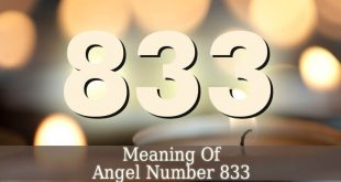 833 Angel Number