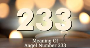233 Angel Number