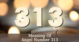 313 Angel Number