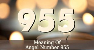 955 Angel Number