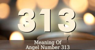 Angel Number 313